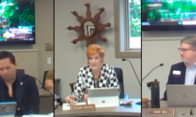 No AI Data Centers in Hillsborough, At Least For 60 Days