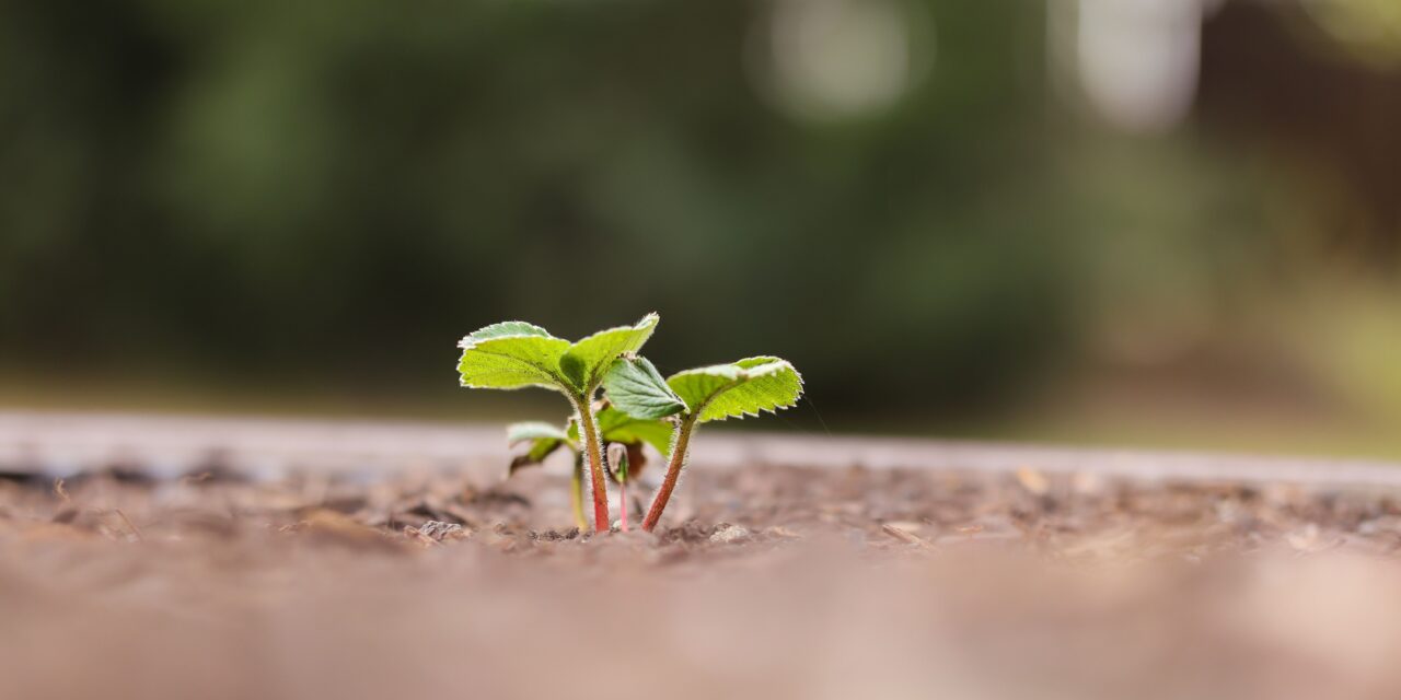 Exploring Your Creative Genius: Back to The Beginning