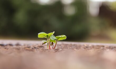 Exploring Your Creative Genius: Back to The Beginning