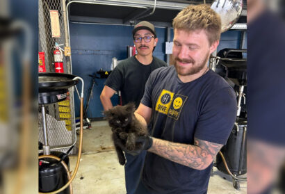 Kitten Rescued, Adopted After Found in Car Serviced by Chapel Hill Tire Crew