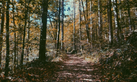 Exploring Your Creative Genius: ‘Ancestral Landscapes’ and Meaning Through Origin
