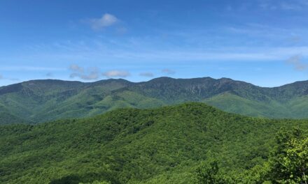 Little Big Moments: A Black Mountain Diary Entry