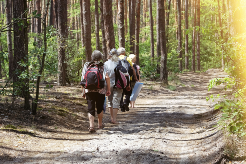 a line of older adults walks along a wide, even path through a shady wood.