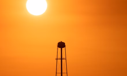 The South Orange Dispatch: Summer Heat Safety for Older Adults
