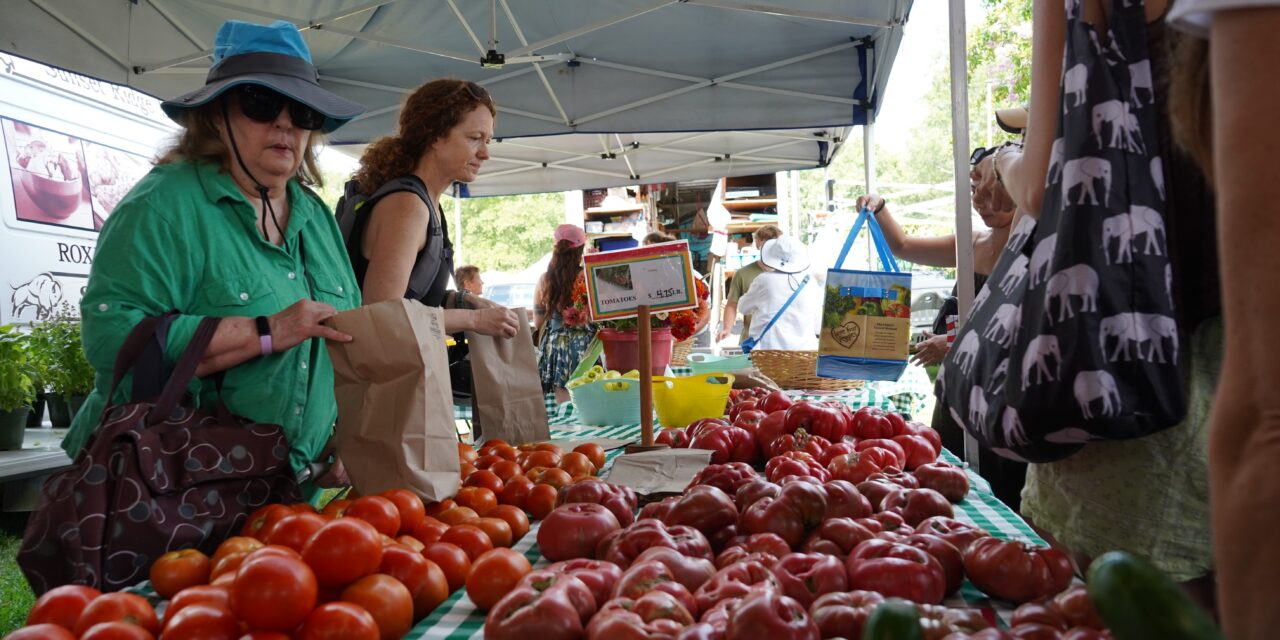 Bigger than Tomatoes: A Perspective From the Carrboro Farmers’ Market’s Tomato Day