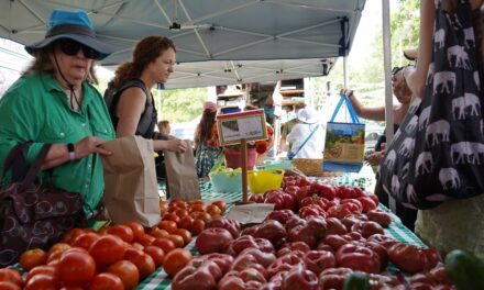 Bigger than Tomatoes: A Perspective From the Carrboro Farmers’ Market’s Tomato Day