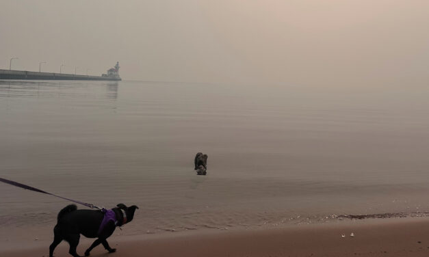 Heavy Smoke From Wildfires Blankets the US Midwest and Northeast, Prompting Evacuations