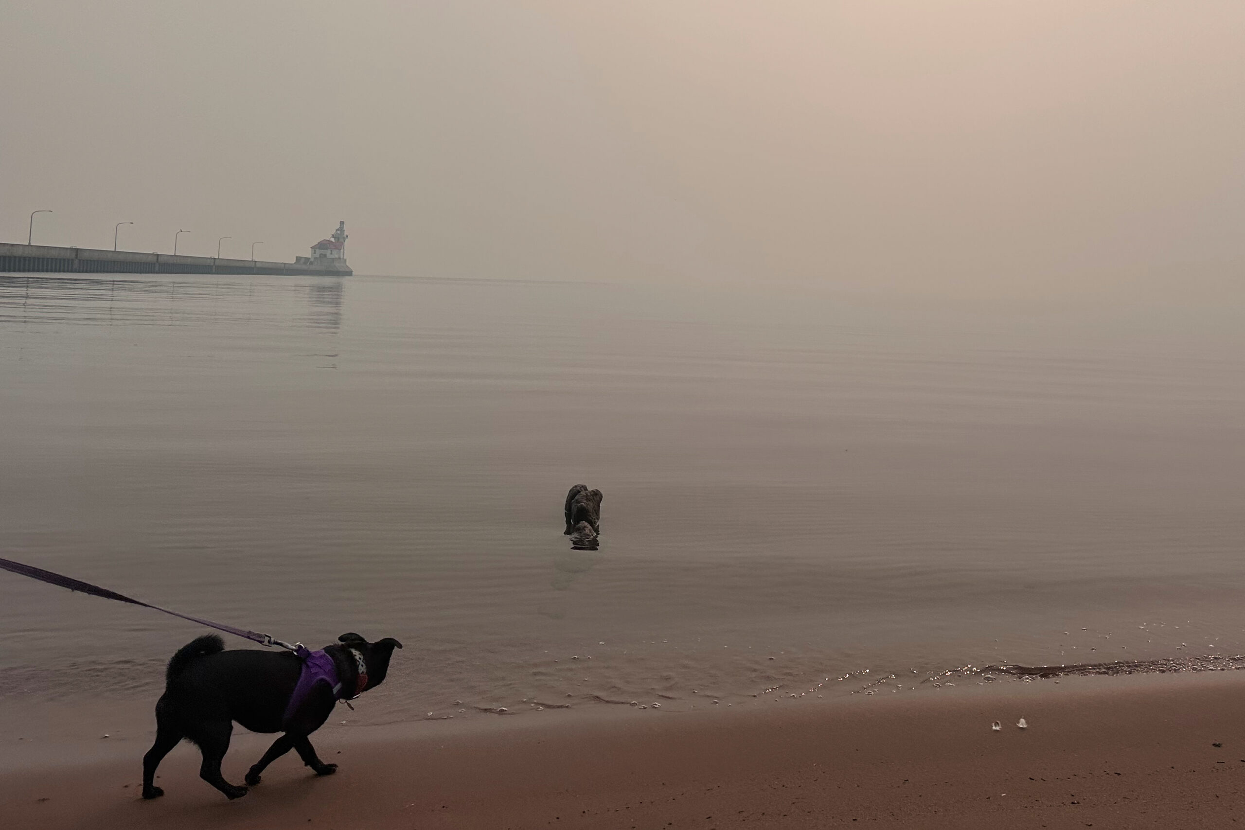 Heavy Smoke From Wildfires Blankets the US Midwest and Northeast, Prompting Evacuations