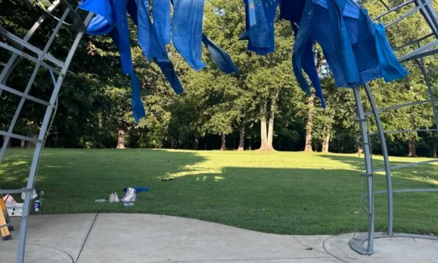 Local Artists Unveil ‘Ripple’ Temporary Art Installation at River Park Arch