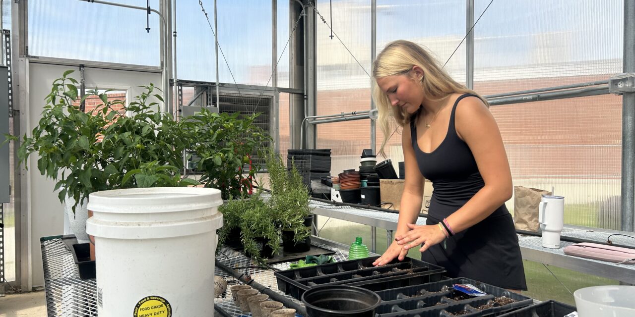 How a Chapel Hill High Senior Brought the School’s Greenhouse Back to Life