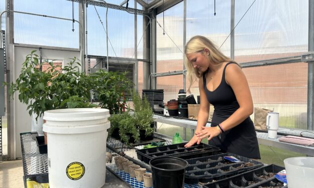 How a Chapel Hill High Senior Brought the School’s Greenhouse Back to Life