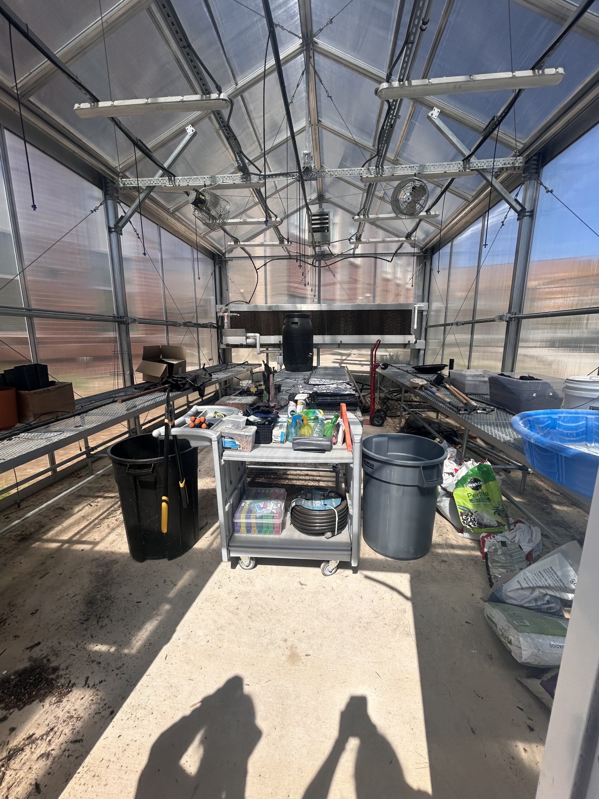 How a Chapel Hill High Senior Brought the School&rsquo;s Greenhouse Back to Life