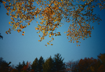 Little Big Moments: Every Delight Under Heaven