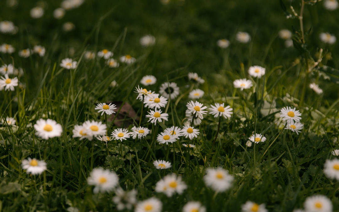 Exploring Your Creative Genius: ‘Part of The Solution’