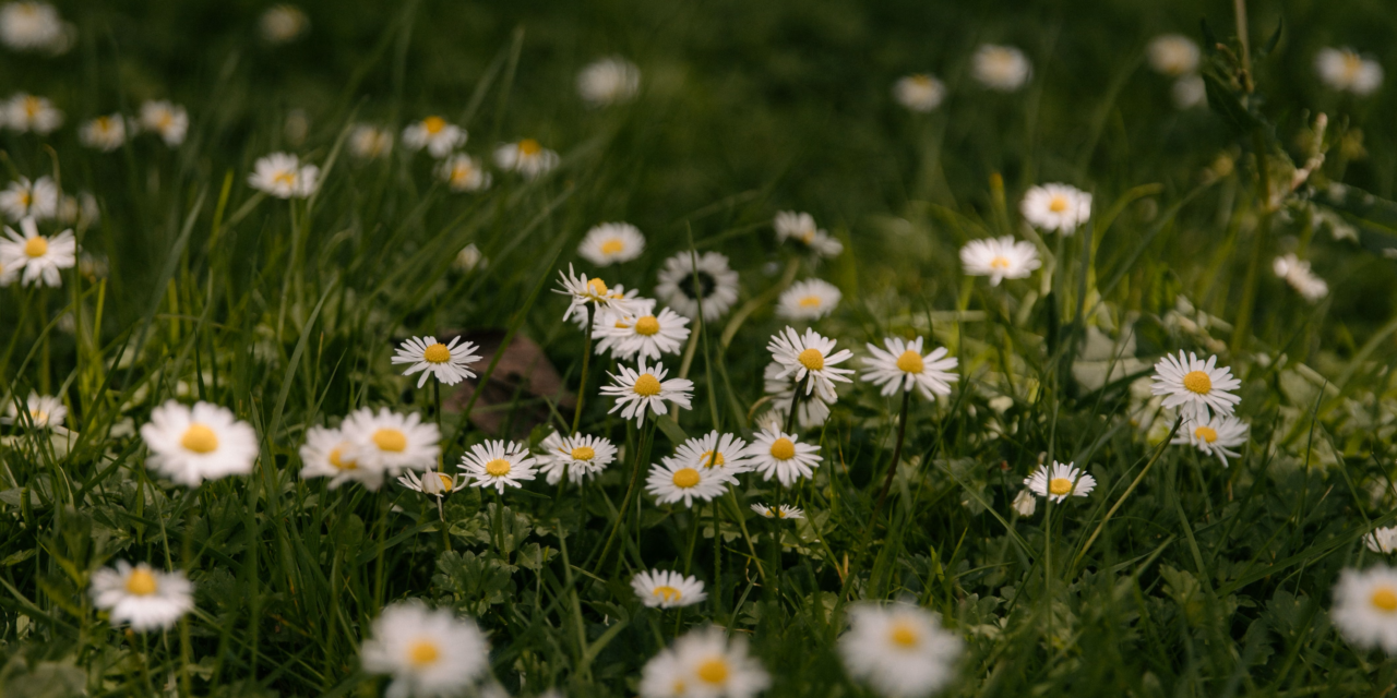 Exploring Your Creative Genius: ‘Part of The Solution’