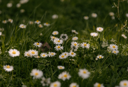 Exploring Your Creative Genius: ‘Part of The Solution’