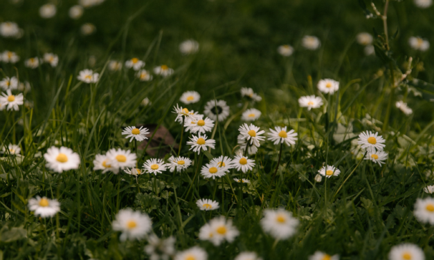 Exploring Your Creative Genius: ‘Part of The Solution’