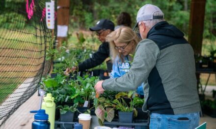 Playing in the Dirt: PlantFest Is Coming Up!