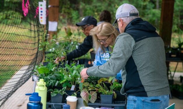 Playing in the Dirt: PlantFest Is Coming Up!