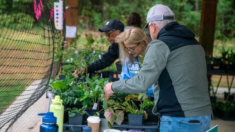 Playing in the Dirt: PlantFest Is Coming Up!