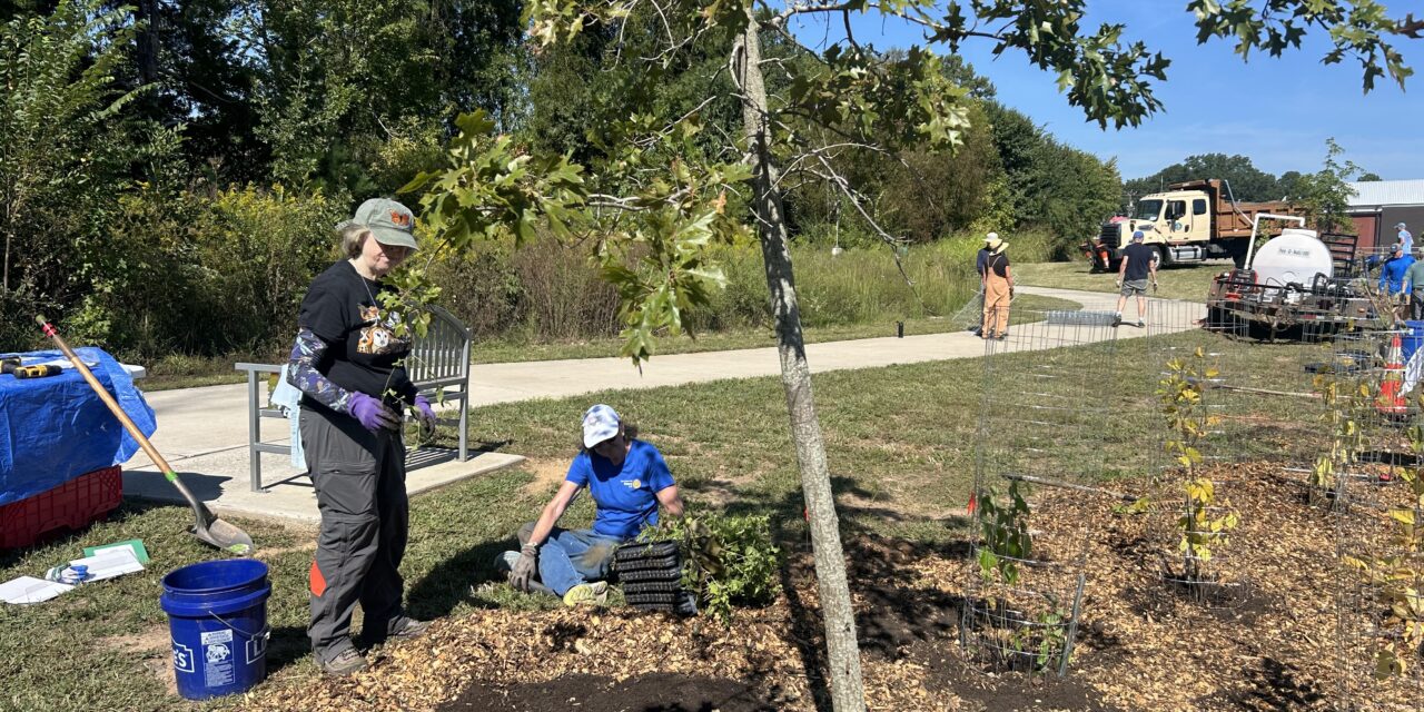 Local Groups Beautify Lower Booker Creek Trail, Aim to Combat Floodwater with Native Tree Plantings