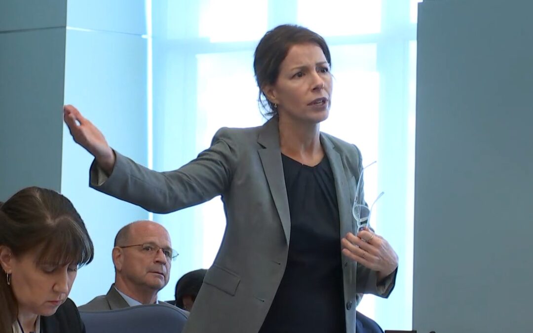 With Defense Bringing No Additional Evidence in Hedgepeth Murder Trial, Here Are Highlights from the Testimony