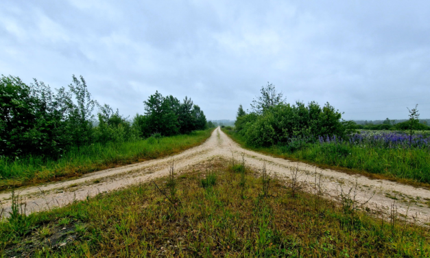Exploring Your Creative Genius: Convergence and Divergence